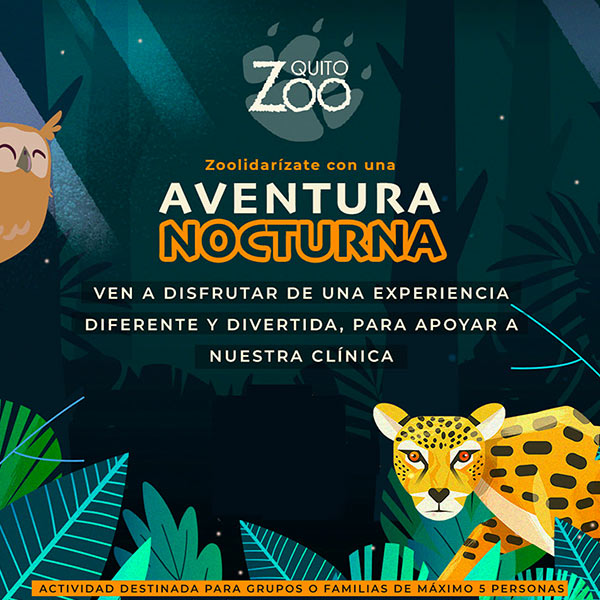En el Zoológico de Quito se cuida a una nutria bebé – Quito Informa