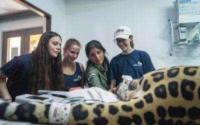 A team from Karlsruhe Zoo visited Ecuador