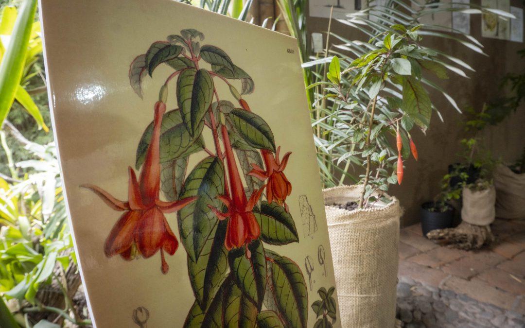 El QuitoZoo es anfitrión de una exposición de flora nativa y arte científico