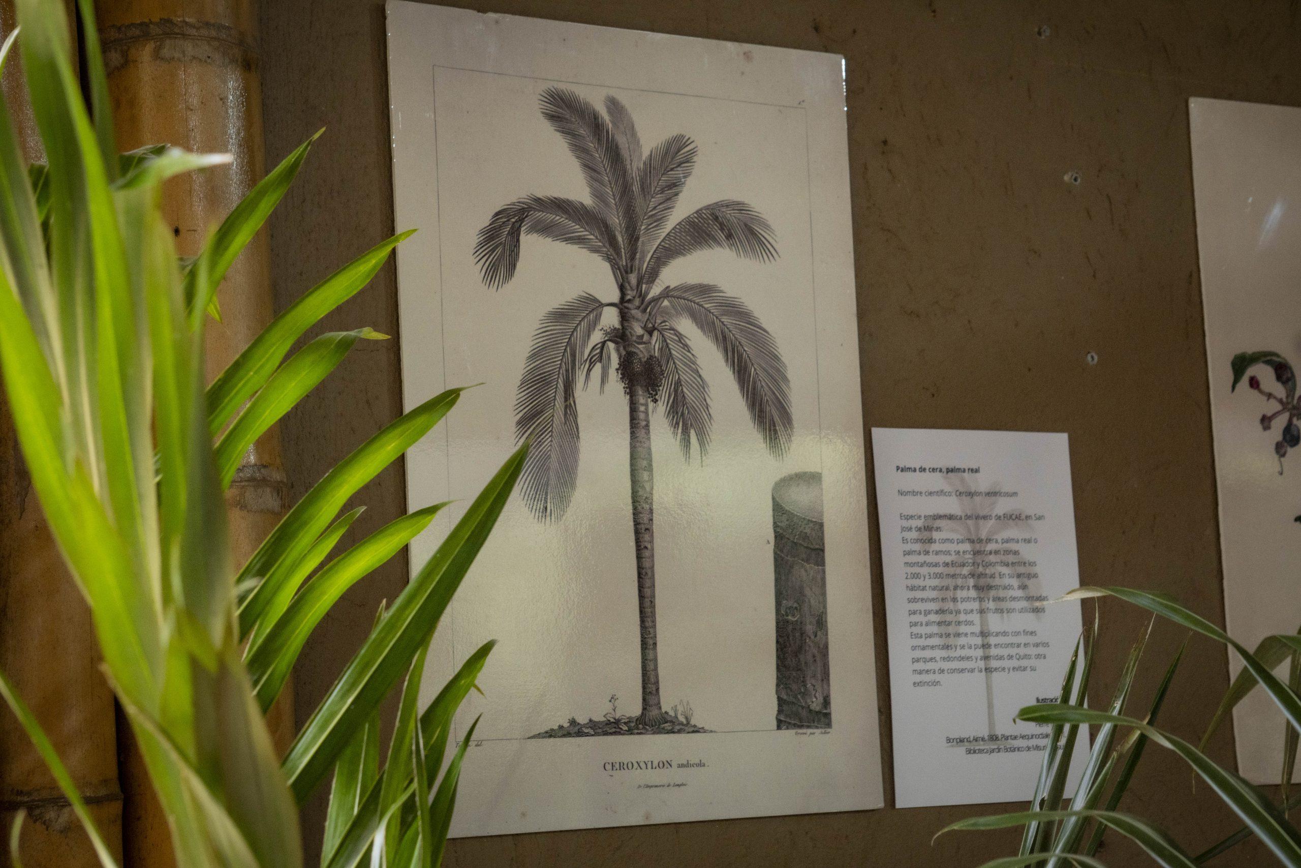 ExpoPlantas en el Zoo_19