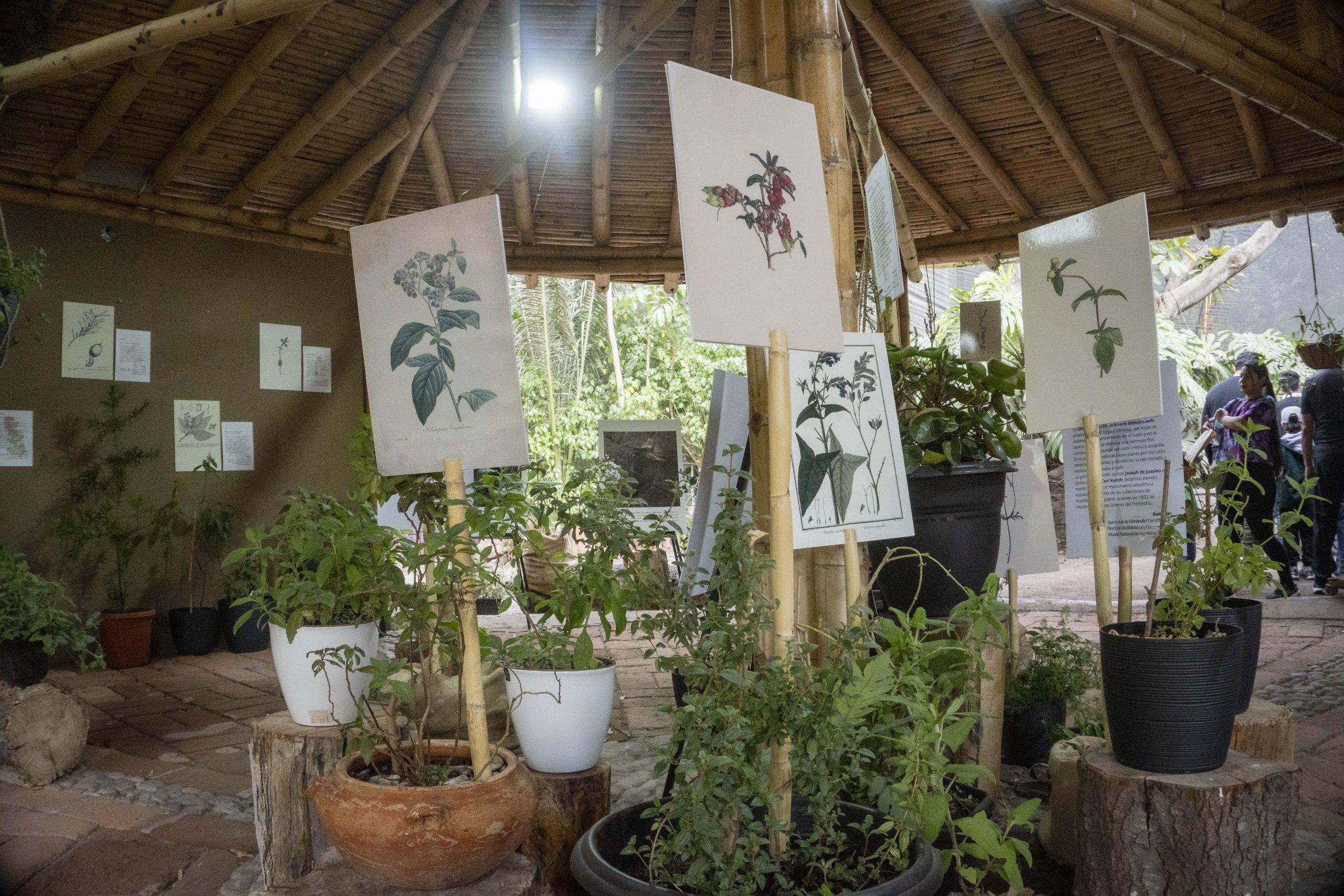 ExpoPlantas en el Zoo_22