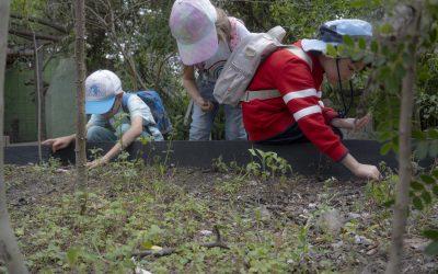 WAWAS, crecer en la naturaleza: un nuevo proyecto del Zoológico de Quito inspirado en la primera infancia