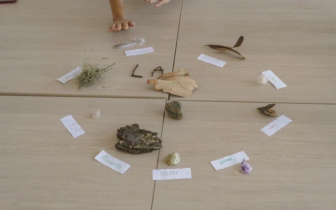 WAWAS, crecer en la naturaleza: un nuevo proyecto del Zoológico de Quito inspirado en la primera infancia