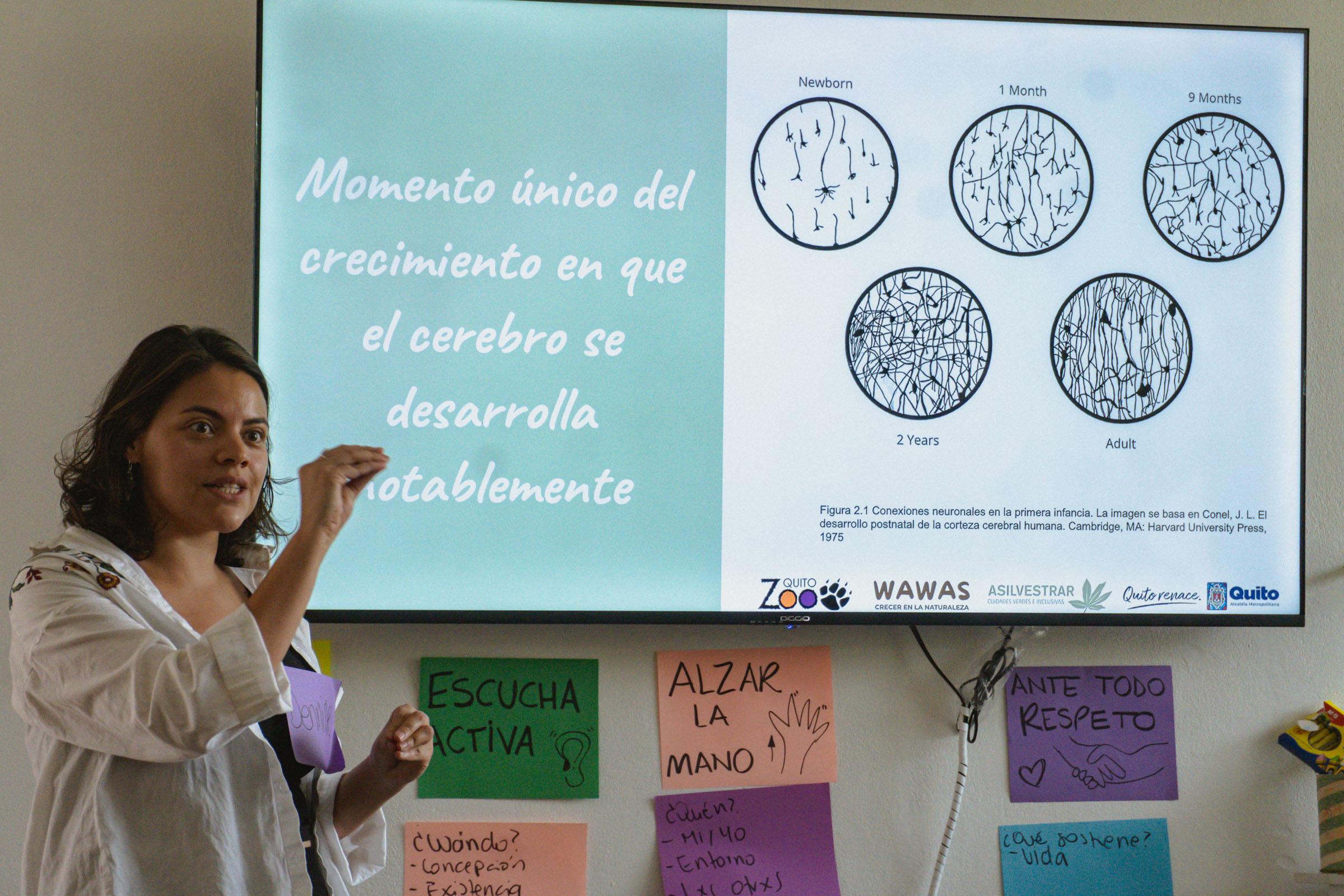 TallerWaWas_7 de octubre 202575