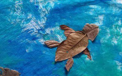 Galápagos suena a cuento